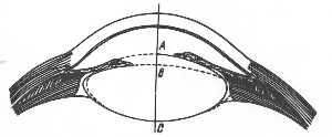 Akomodacja