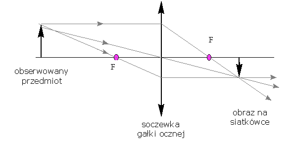 Schemat ukadu optycznego